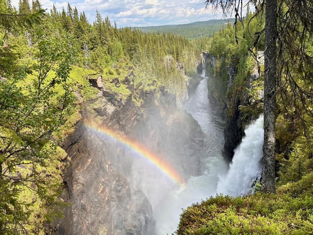 Vildmarksgard Lillviken Strömsund エクステリア 写真